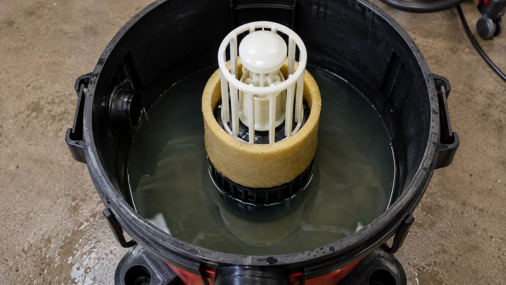 Inside a shop vac tank showing the float valve and foam filter with a few inches of water.