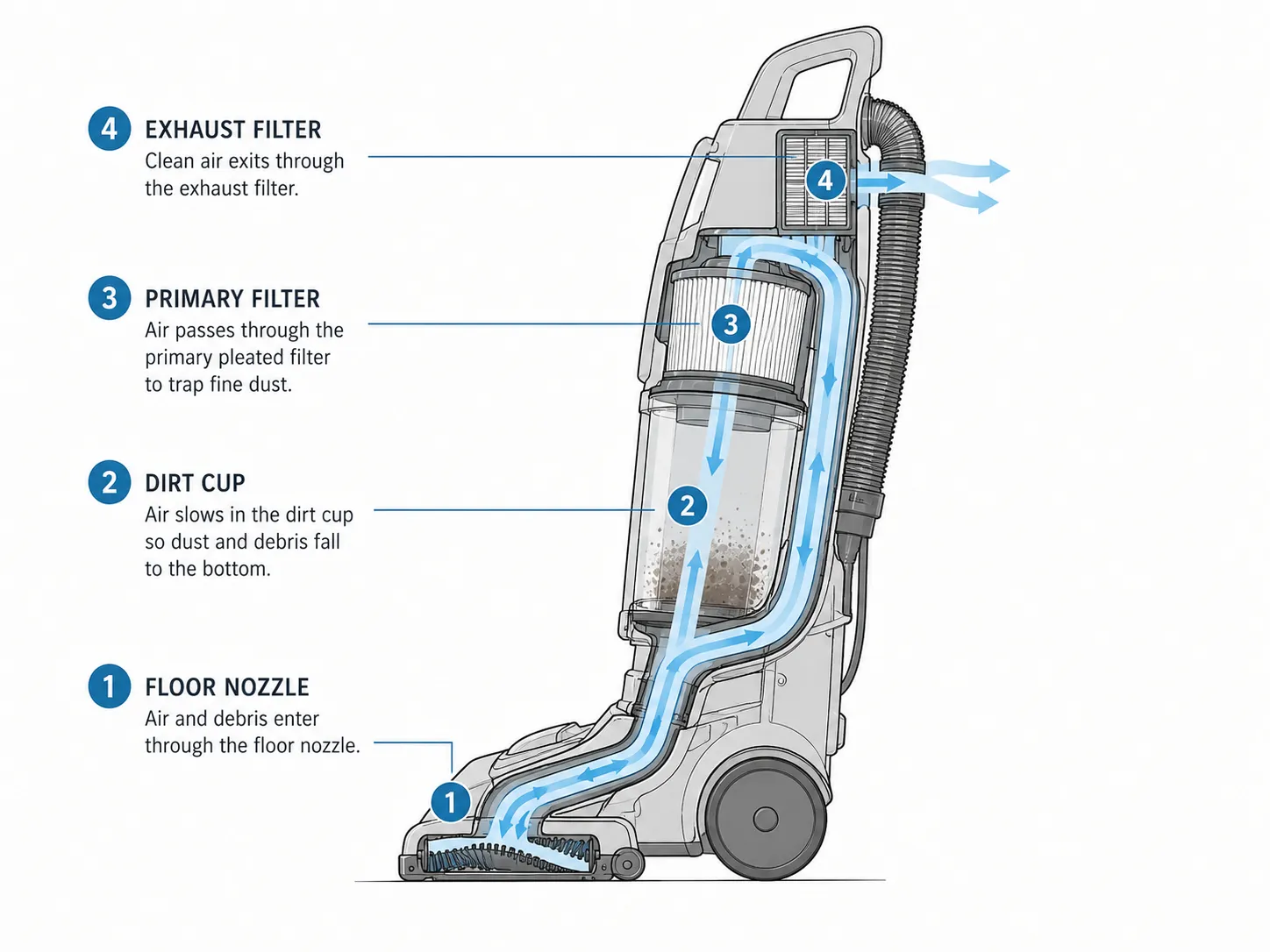 Cutaway diagram showing an upright vacuum’s airflow path through the floor nozzle, dirt cup, primary filter and exhaust filter.