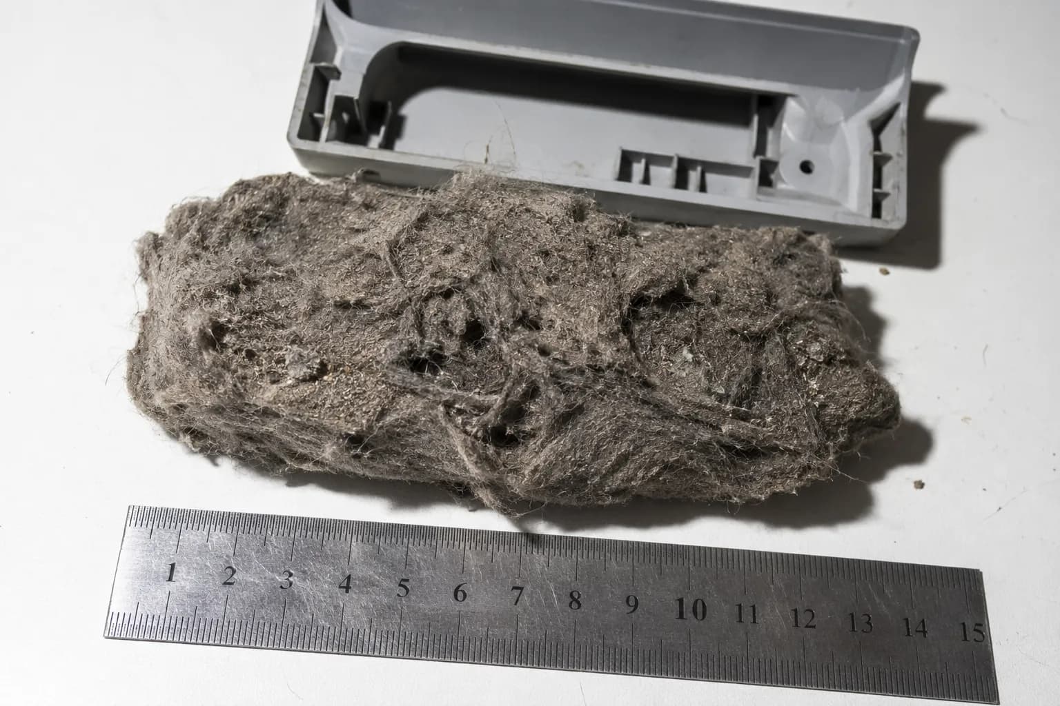 Dense mat of pet hair, dust and carpet fibres removed from a Eureka PowerSpeed vacuum intake port and placed beside a ruler for scale.