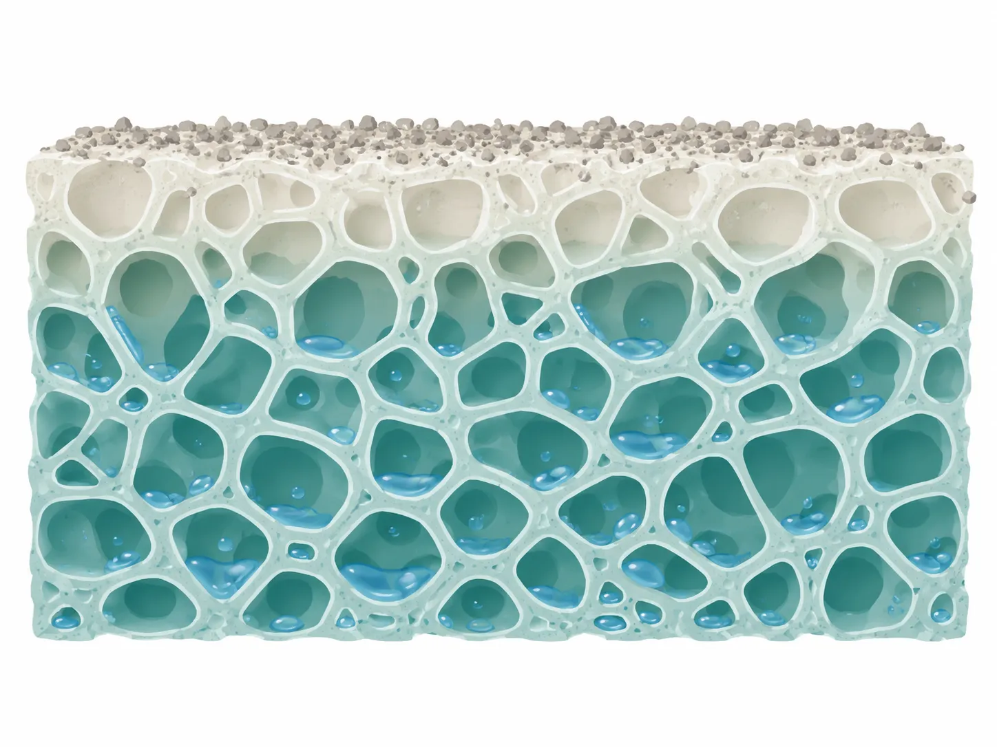 Cross-section diagram of open-cell foam showing water droplets trapped inside connected pores even after the surface appears dry.