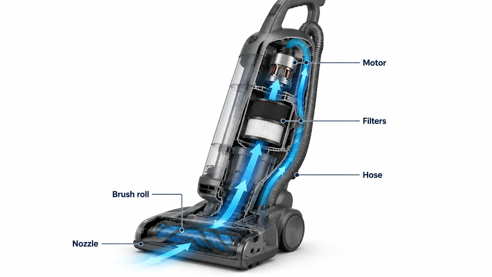 Cutaway diagram showing airflow through a Shark upright vacuum from the nozzle to the motor.