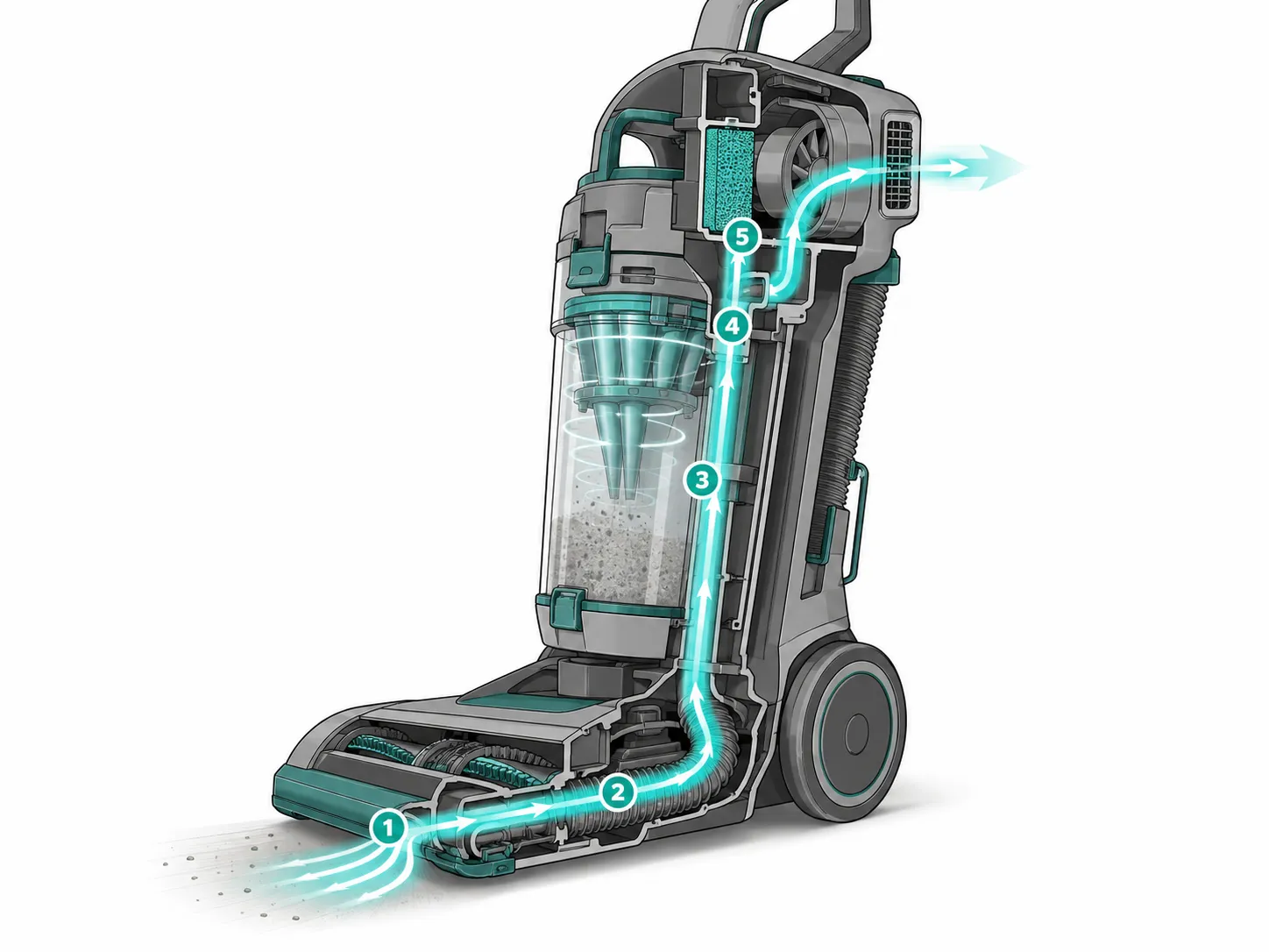 Cutaway diagram of an upright vacuum showing the airflow path from the floor nozzle through the hose, dust cup, cyclone seal, filter, motor and exhaust vent.