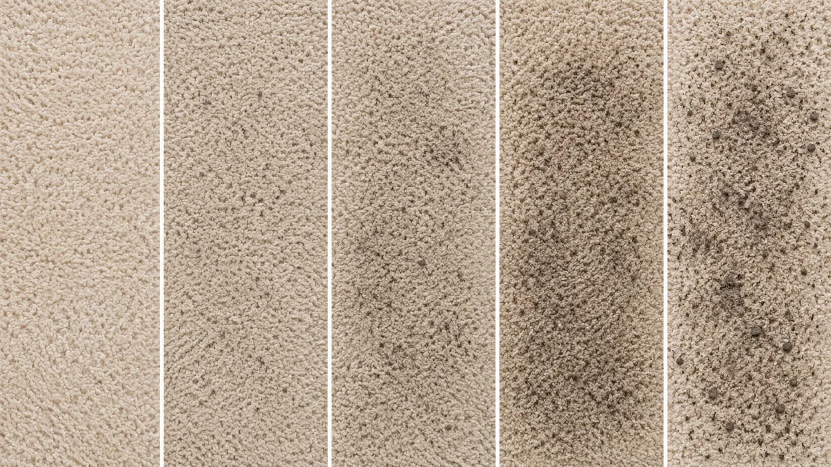 Five-panel comparison of the same beige carpet after one vacuum pass at different height settings, showing progressively more residual soil from left to right.